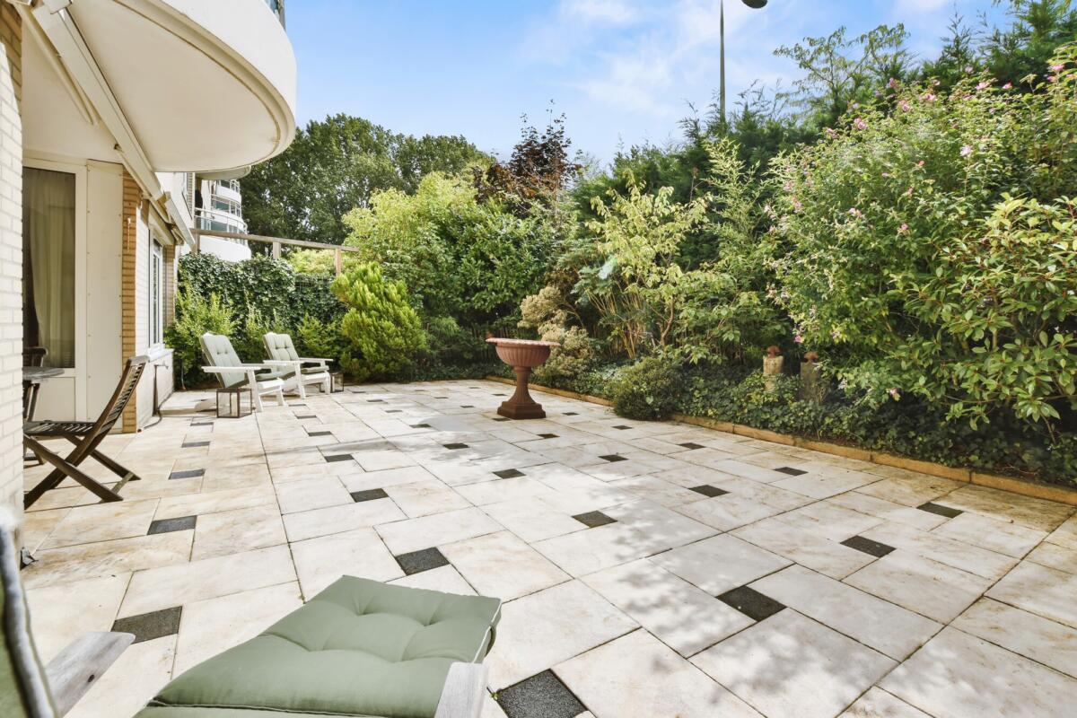 Del mar home, backyard before restoration image
