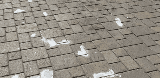 Pavers Cleaning San Diego